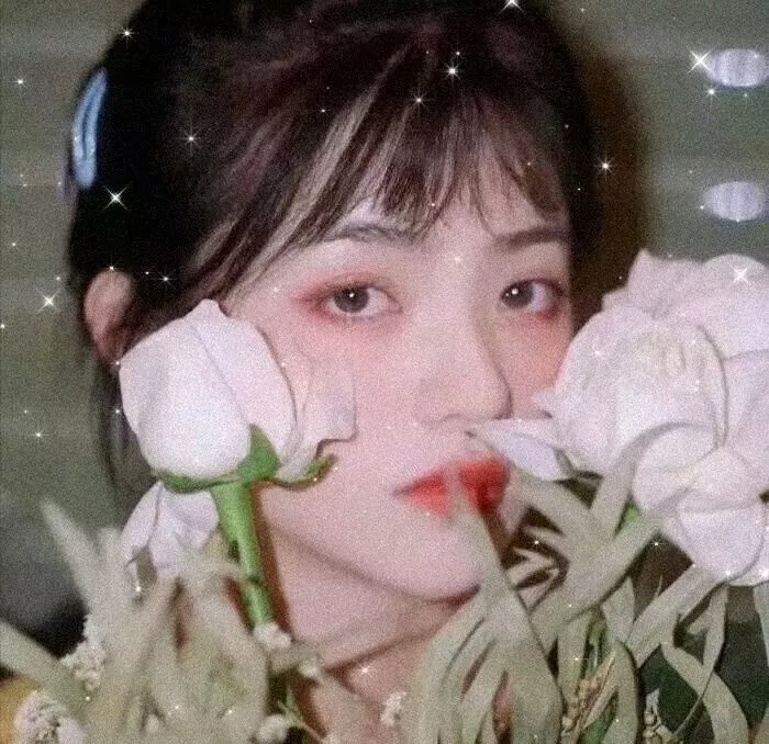 奇花记